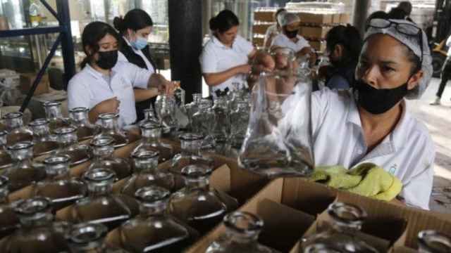 Producción de tequila en México - EFE