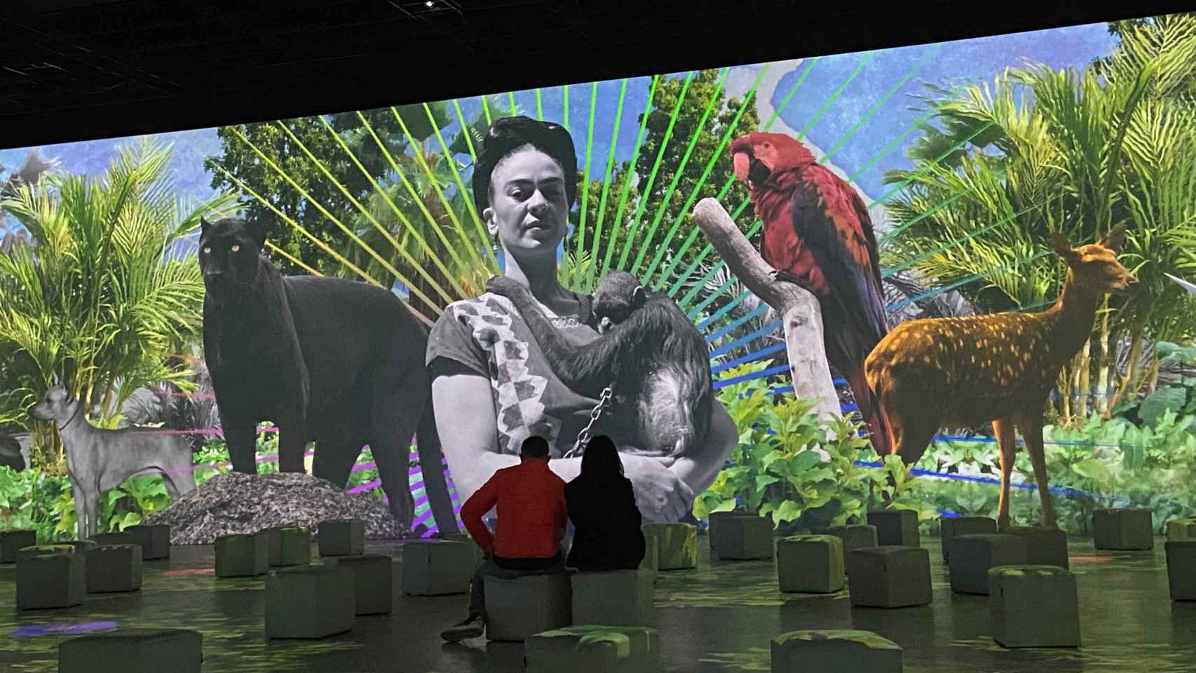 Biografía inmersiva de Frida Kahlo en IDEAL de Barcelona / CG