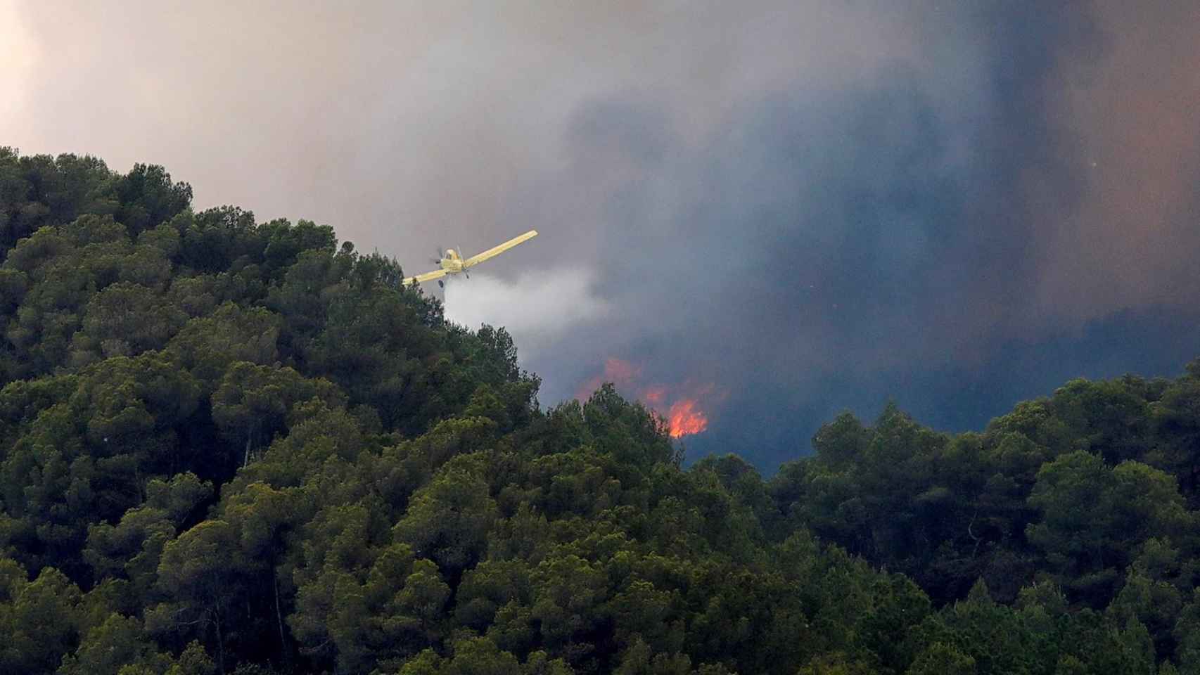 Una hidroavión lanzando agua sobre el incendio de la Cataluña central / EFE