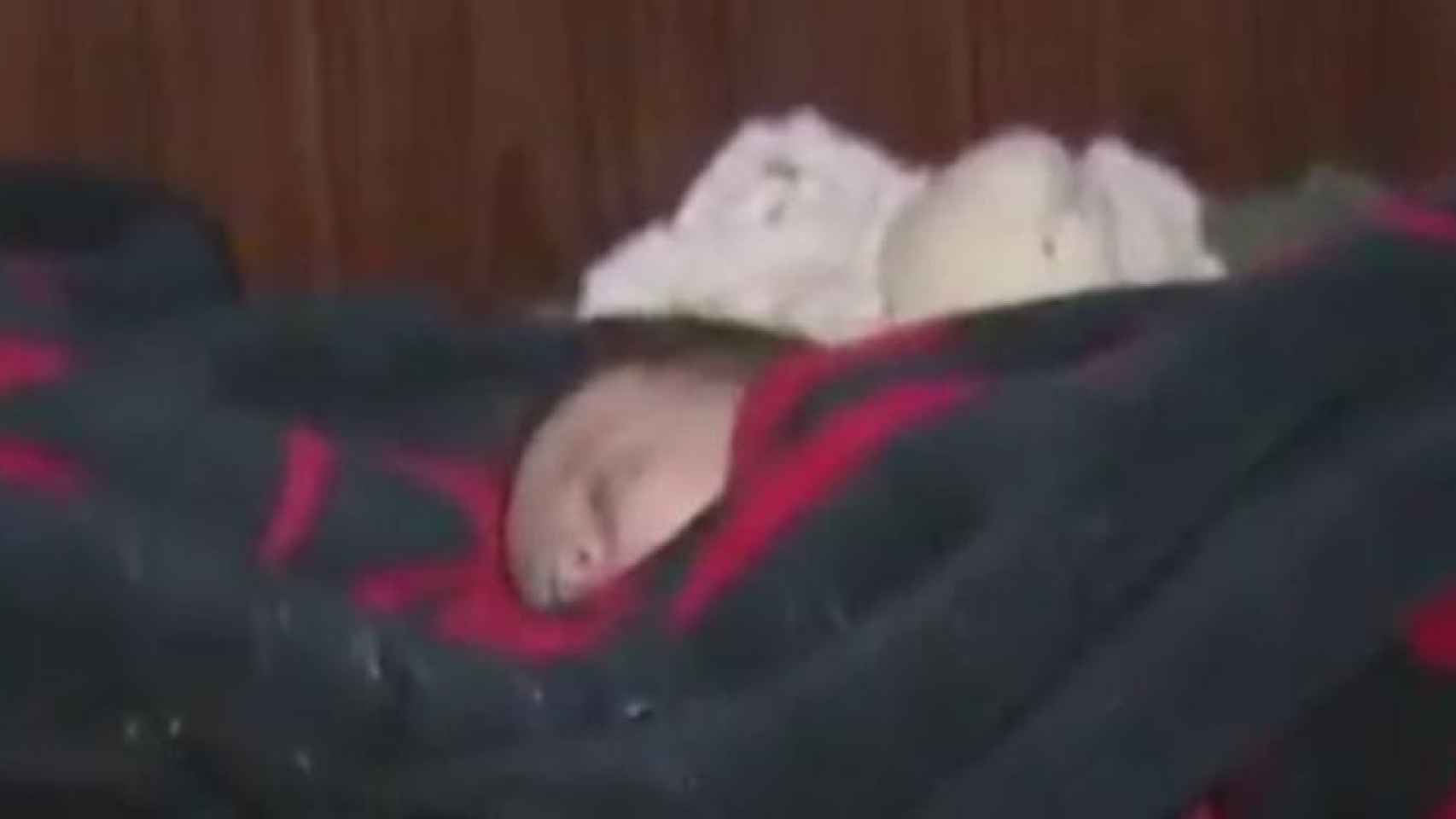 Imagen de un bebe durmiendo que emocionó al Defensor del Pueblo