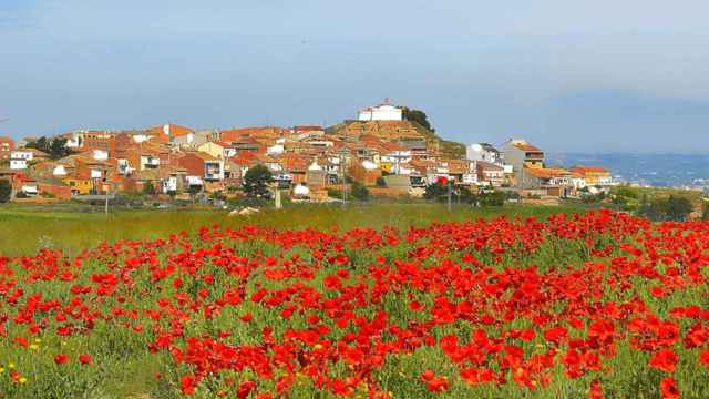 Sunyer visto desde lejos