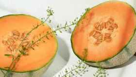 Imagen de un melón charentais con su color naranja intenso / Otherness TV en UNSPLASH