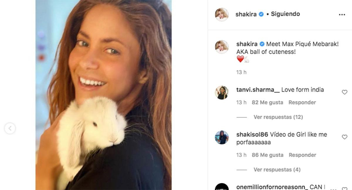 Imagen en la que Shakira presenta al nuevo miembro de la familia /INSTAGRAM