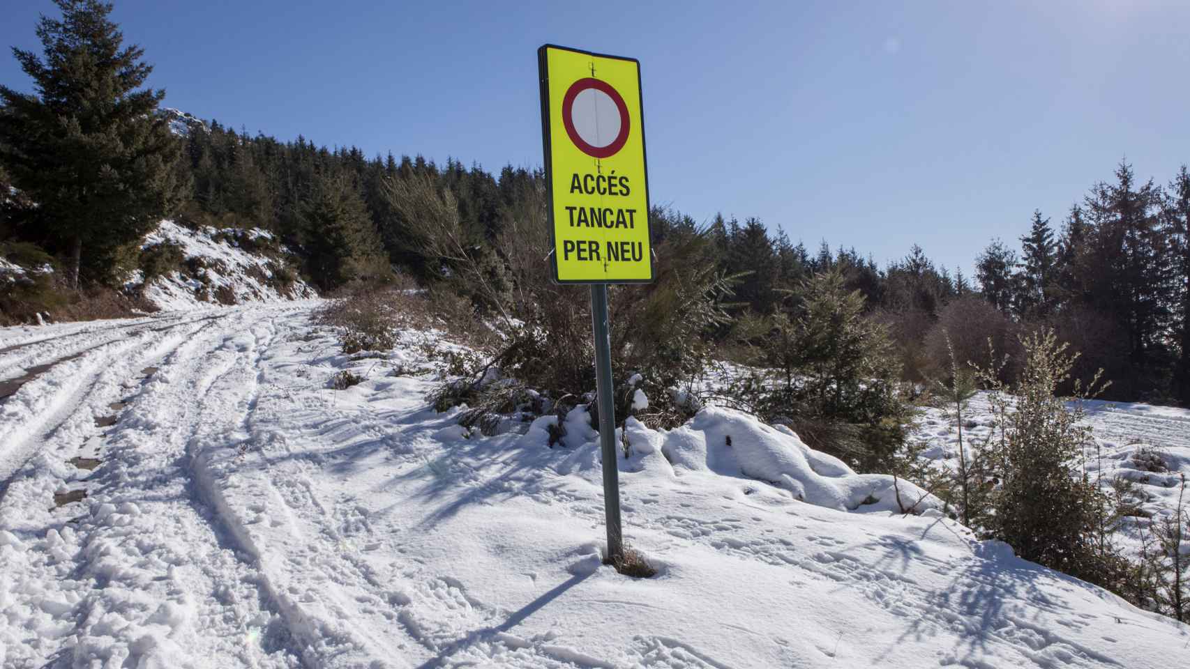 Una carretera catalana, cortada por la nevada en plena alerta por el frío en Cataluña / BOMBERS