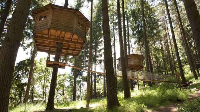 Cabañas en el árbol / CABANES ALS ARBRES Hoteles donde pasar una noche especial en Cataluña