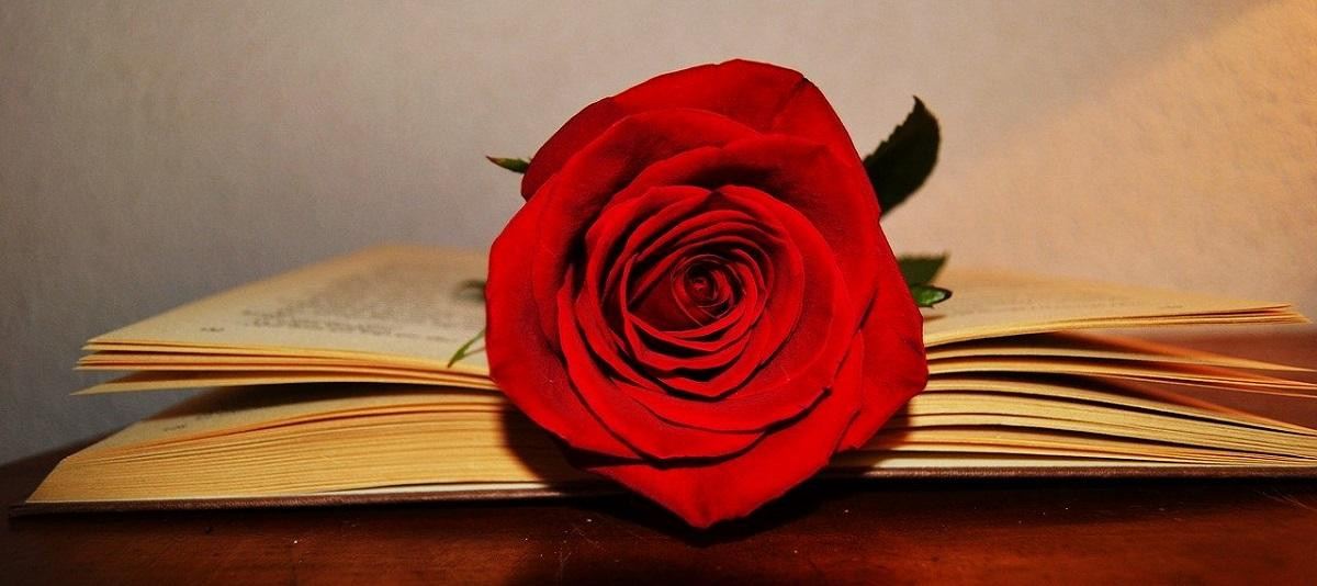 Un libro y una rosa, los símbolos de Sant Jordi  / MARME BEL EN PIXABAY