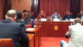 Joana Ortega, en la comisión parlamentaria que afecta a su departamento autonómico