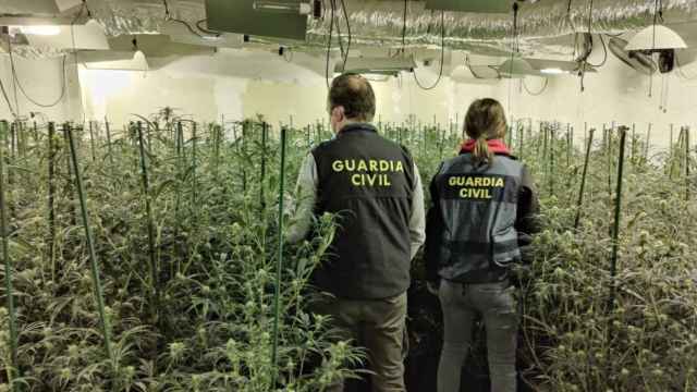 Agentes de la Guardia Civil durante la desarticulación de la macroorganización criminal de narcos asentada en Tarragona / GUARDIA CIVIL