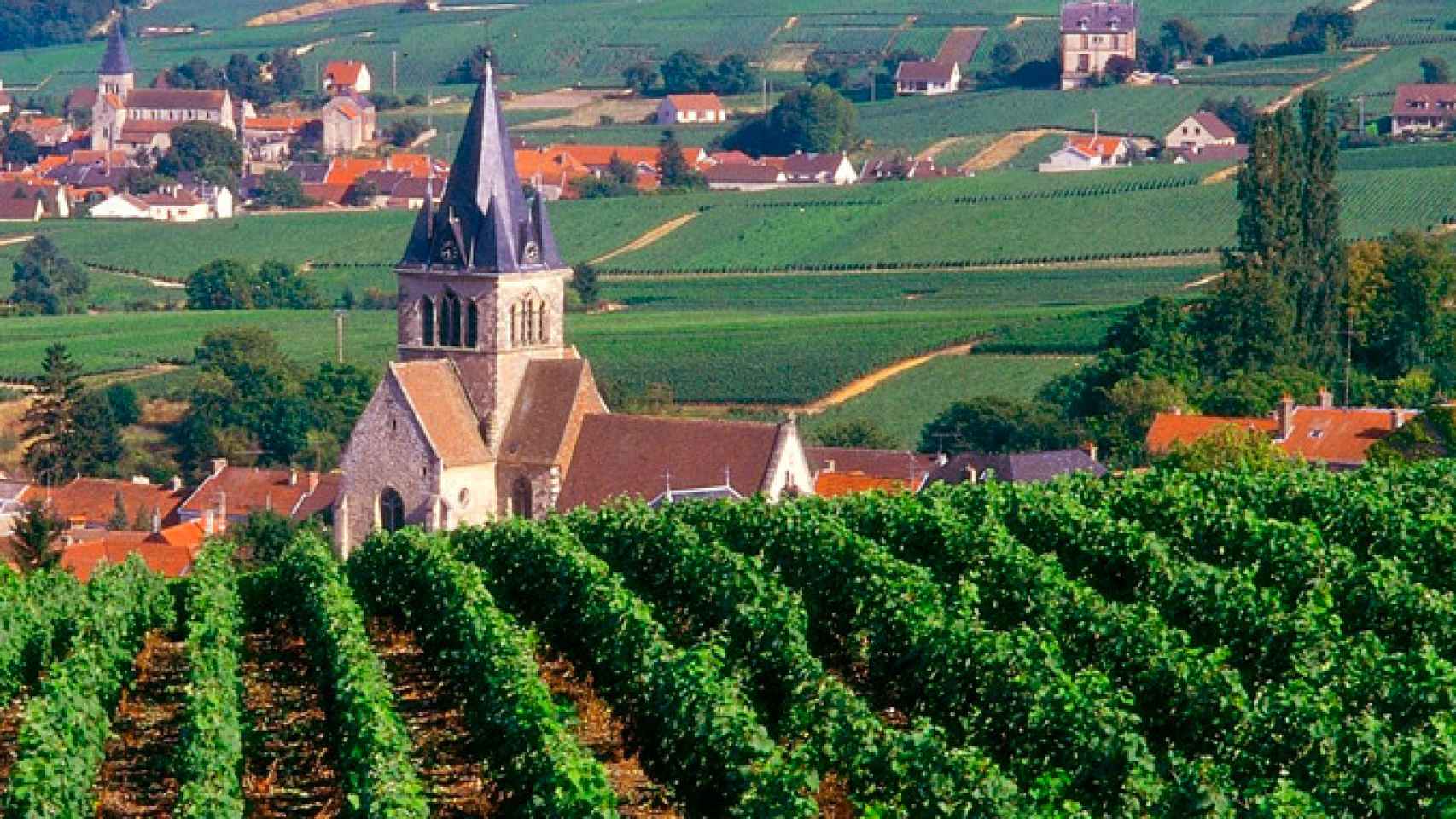 La Champagne: ruta de vinos y restaurantes Michelin / MICHEL JOLYOT