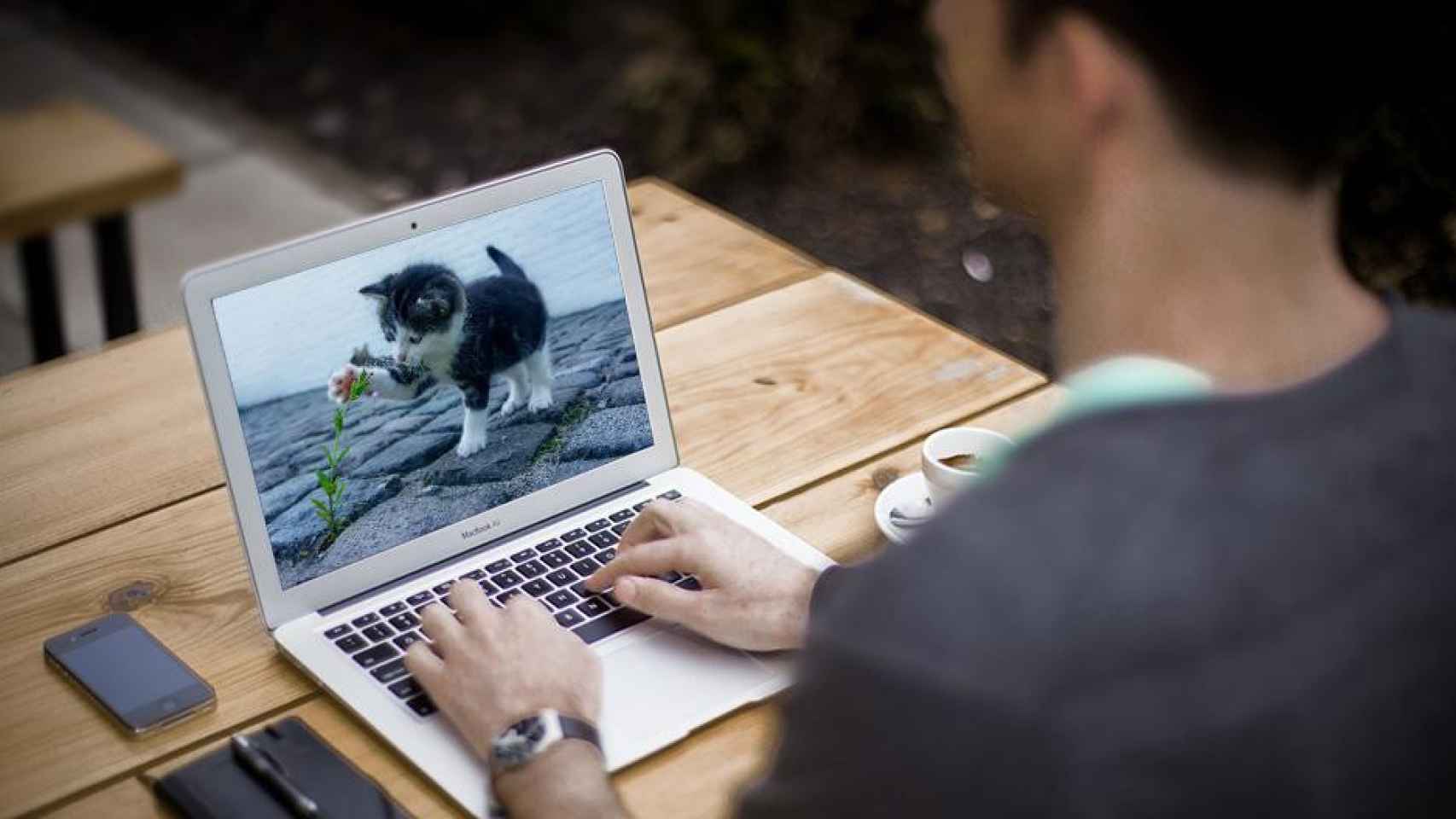 Un hombre viendo vídeos de gatos en internet / PIXABAY