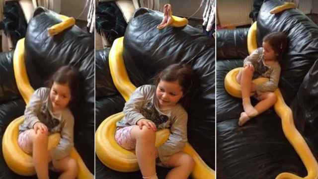 La niña junto a la serpiente enroscada en el sofá