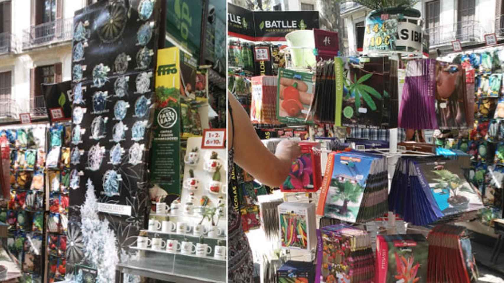 Semillas de cannabis y de plantas alucinógenas a la venta en Las Ramblas./ CG