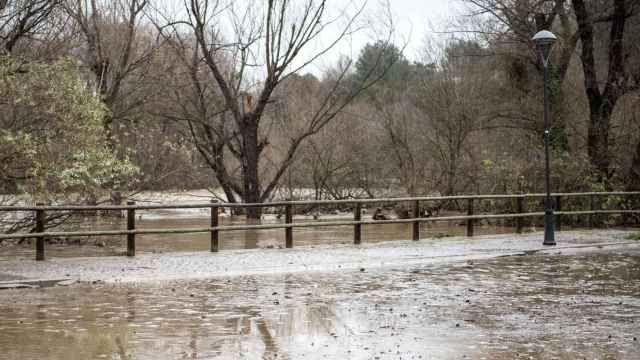 El rio Ter, desbordado por las fuertes lluvias que ha dejado el temporal Gloria en Girona / EUROPA PRESS