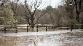 El rio Ter, desbordado por las fuertes lluvias que ha dejado el temporal Gloria en Girona / EUROPA PRESS