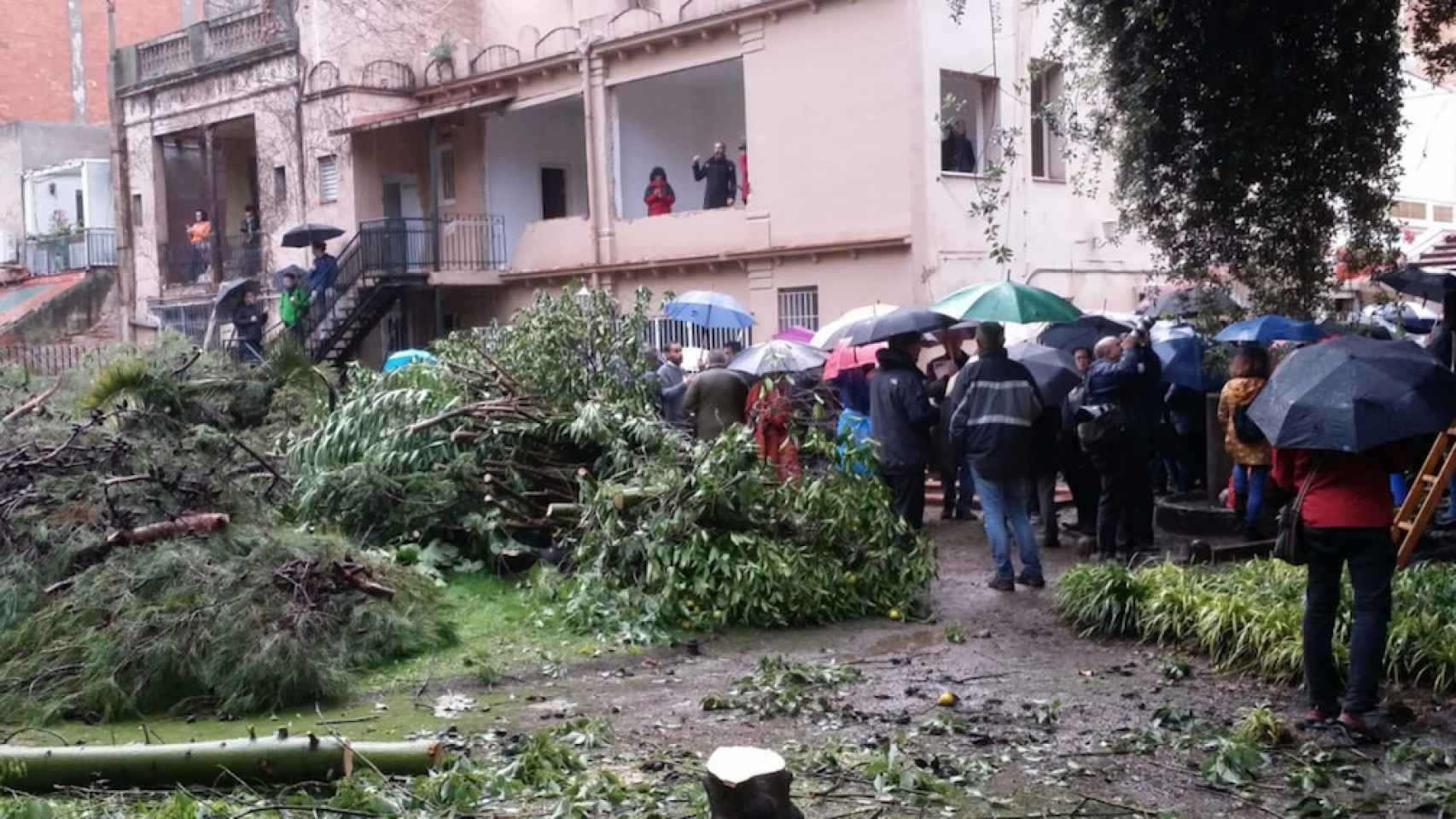 Vecinos de Gràcia protestando contra el derribo de árboles centenarios y fincas