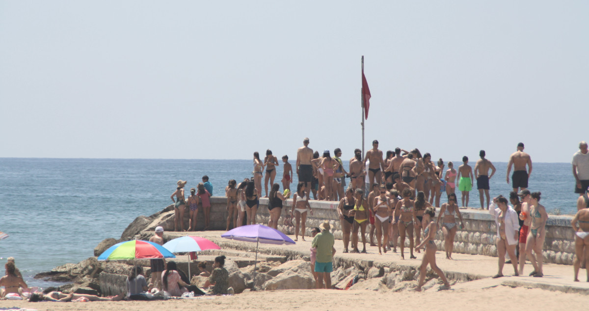 Varios bañistas intentan avistar el tiburón en la playa de Sitges /GORI MASIP