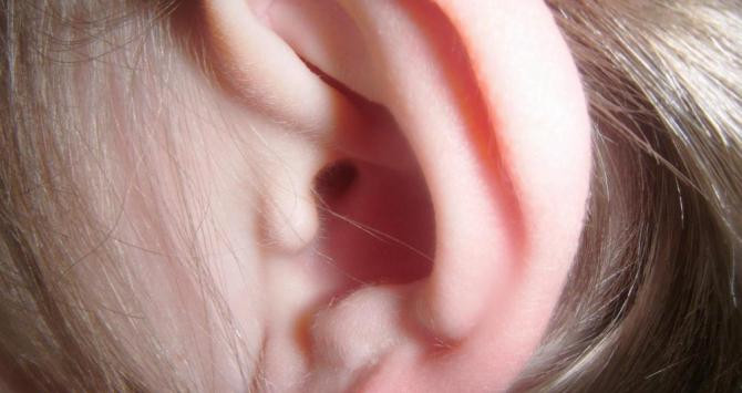 La oreja de una persona en una imagen de archivo /Creative Commons