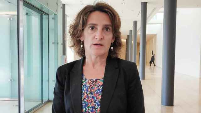 La ministra para la Transición Ecológica, Teresa Ribera / EFE