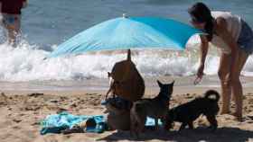 Una mujer observa a sus perros bajo una sombrilla en la playa / EFE