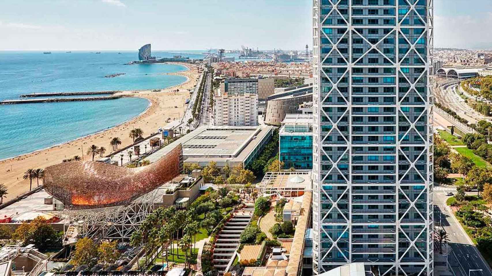 Imagen del Hotel Arts de Barcelona y la pastilla de litoral que quiere comprar en subasta / CG