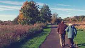 Una pareja de ancianos pasea por el campo.