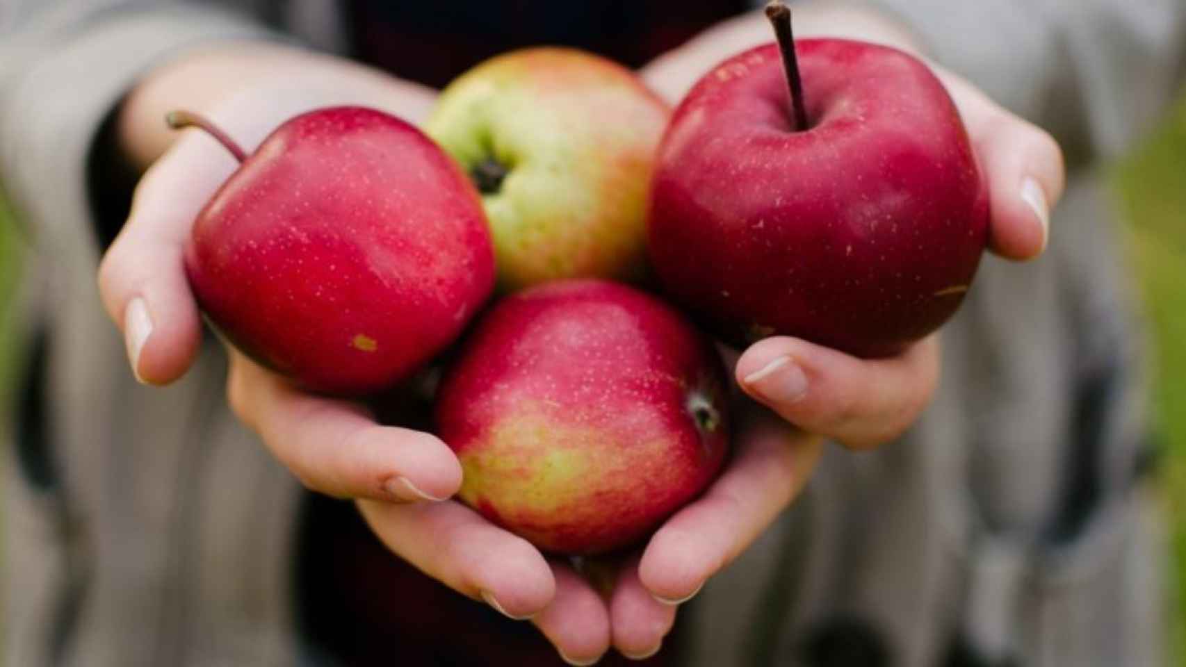 Una chica sujetando saludables manzanas / Aaron Blanco en UNSPLASH