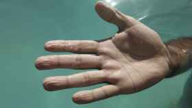 Dedos arrugados en una piscina / JOCAN
