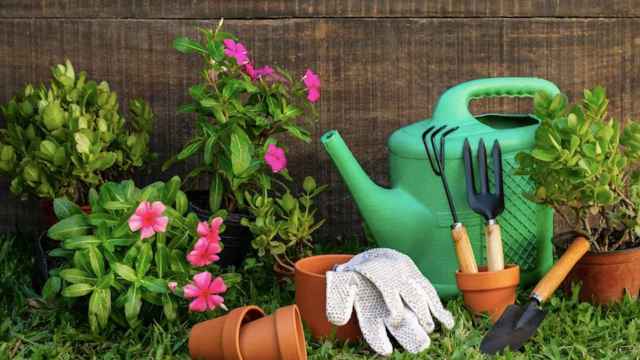 Herramientas en un rincón de un jardín