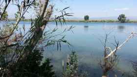Imagen del río Ebro a su paso por Amposta (Tarragona) / CG