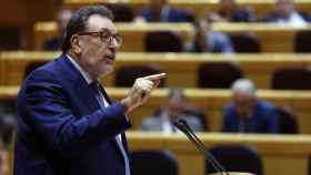 El senador de Junts per Catalunya, Josep Lluís Cleries, en el Senado / EFE