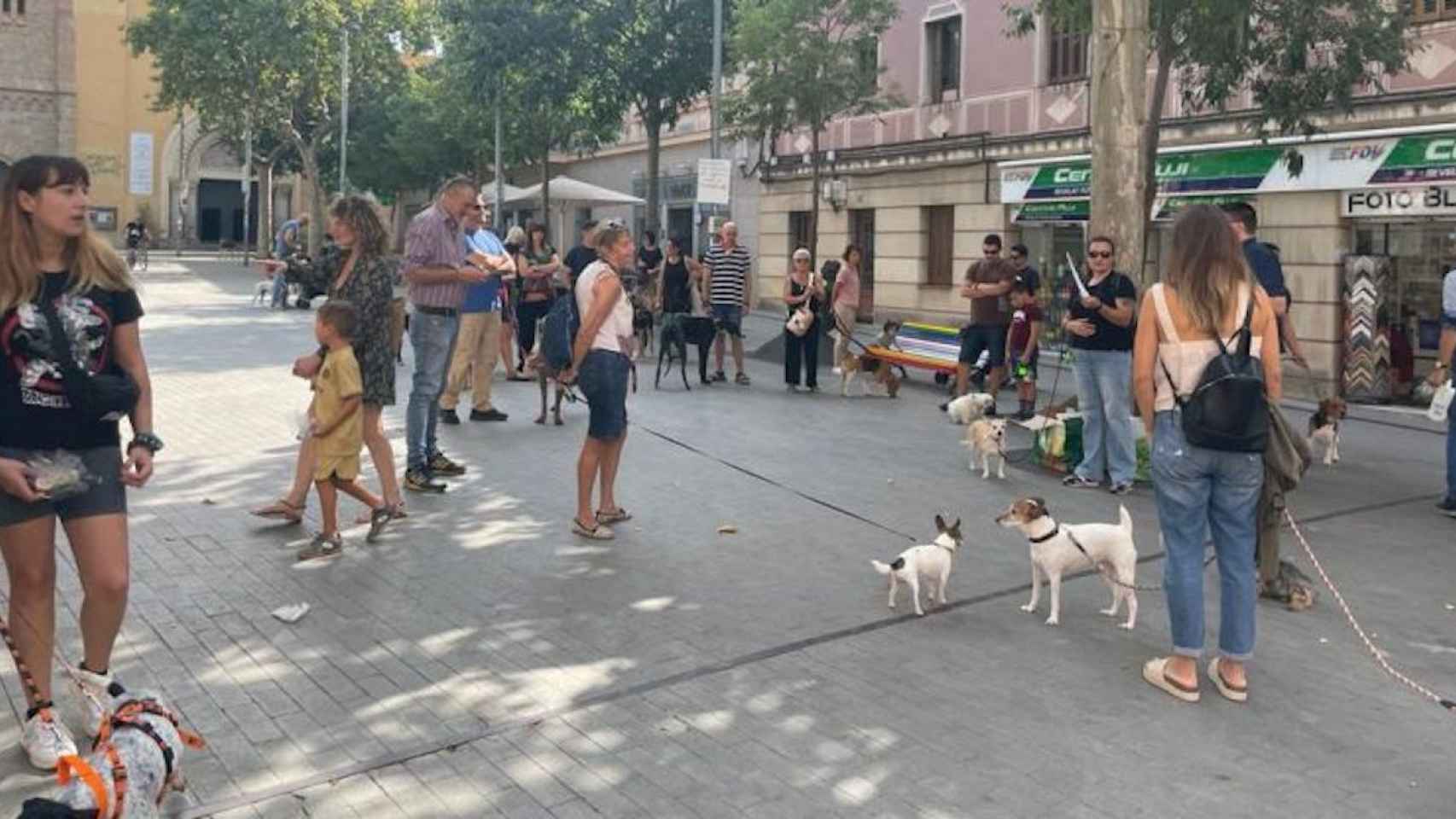 Manifestación para la creación de parques caninos en Sant Feliu / Foto NÀSTIA MAS