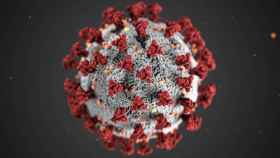 Imagen digital del coronavirus / EUROPA PRESS