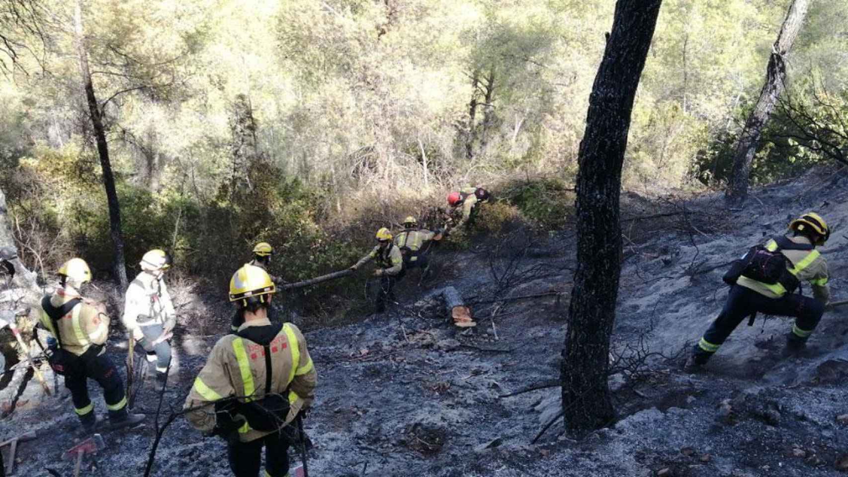 Efectivos de bomberos sofocan el incendio forestal en la Ribera d'Ebre / BOMBERS