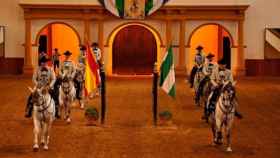 Exhibición de doma de caballos en la Real Escuela Andaluza del Arte Ecuestre / EUROPA PRESS