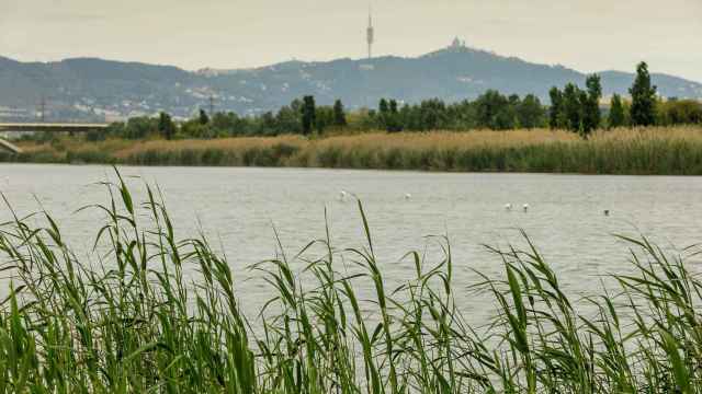 El agua es uno de los elementos más afectados por la emergencia climática / ARCHIVO