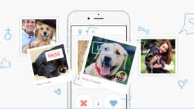 Twindog, la aplicación para ligar con tu perro  / Twindog