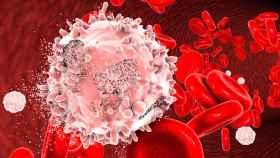 Imagen de una célula de leucemia, uno de los cánceres más mortales / RTVE