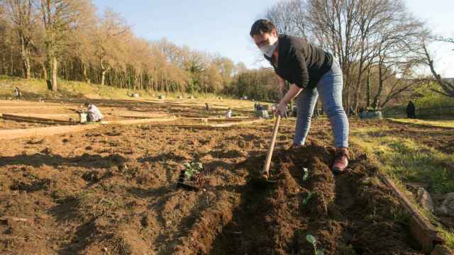 Una mujer trabaja su huerto durante la pandemia: los agricultores recelan de la reforma energética / EP