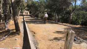 Camino en obras con paseantes en el Turó de la Rovira / CG