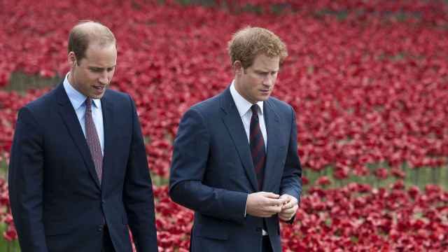 Los príncipes William y Harry, contra la BBC EFE