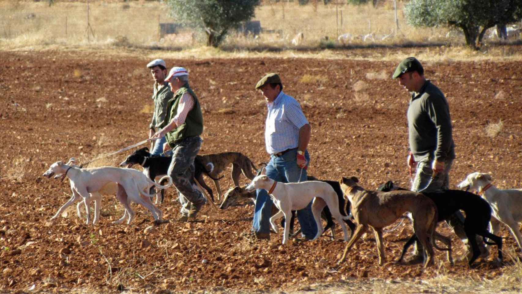 Un grupo de galgueros durante una jornada de caza en Ciudad Real / EFE