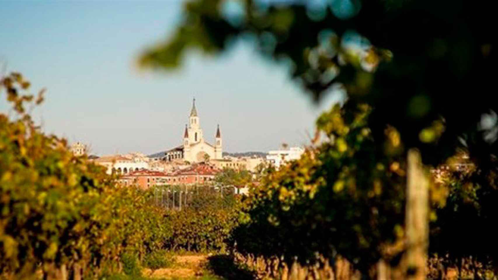 Imagen de la localidad de Vilafranca del Penedès (Barcelona) desde una finca de viñedos / CG