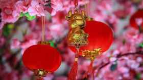 Decoración para el Año del Buey chino / NASSER ALSUBIE - PIXABAY