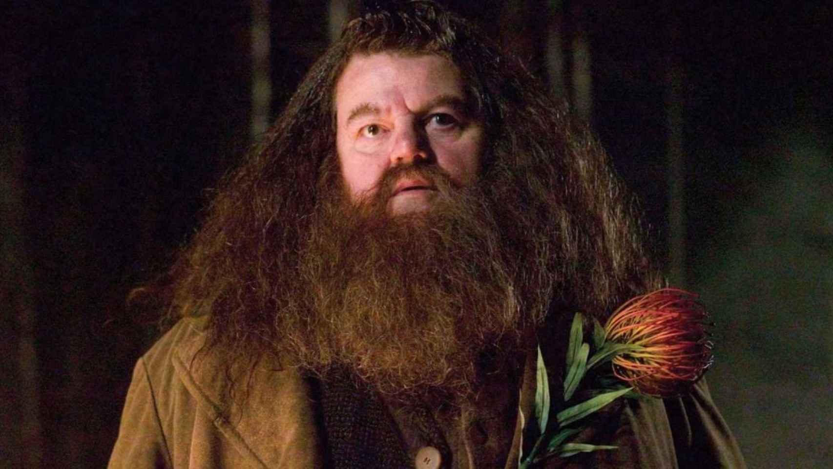 El actor Robbie Coltrane, Hagrid en 'Harry Potter' / WARNER BROS