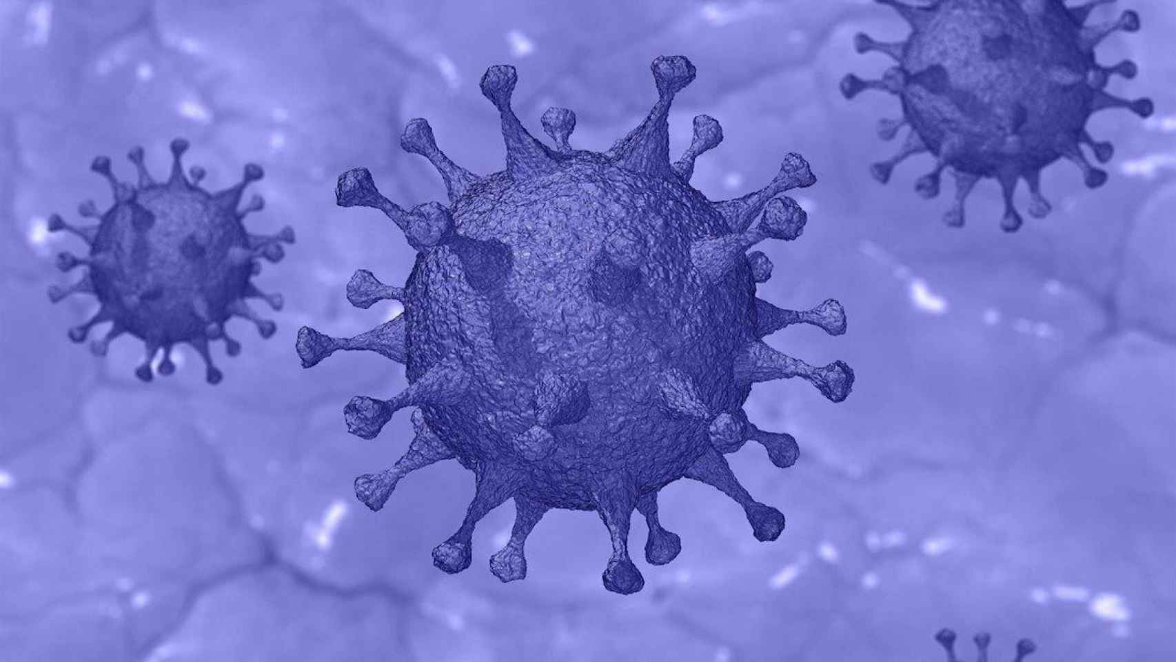Imagen del coronavirus SARS-CoV-2 / EP
