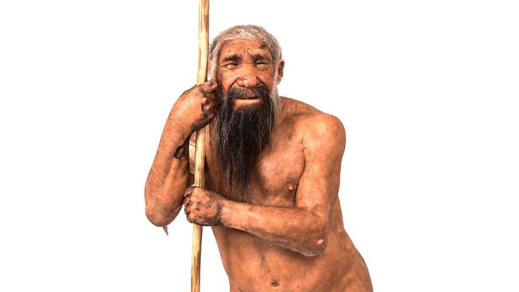 Recreación de un homo neanderthalensis / WIKIMEDIA COMMONS Científicos crean minicerebros del hombre de Neandertal
