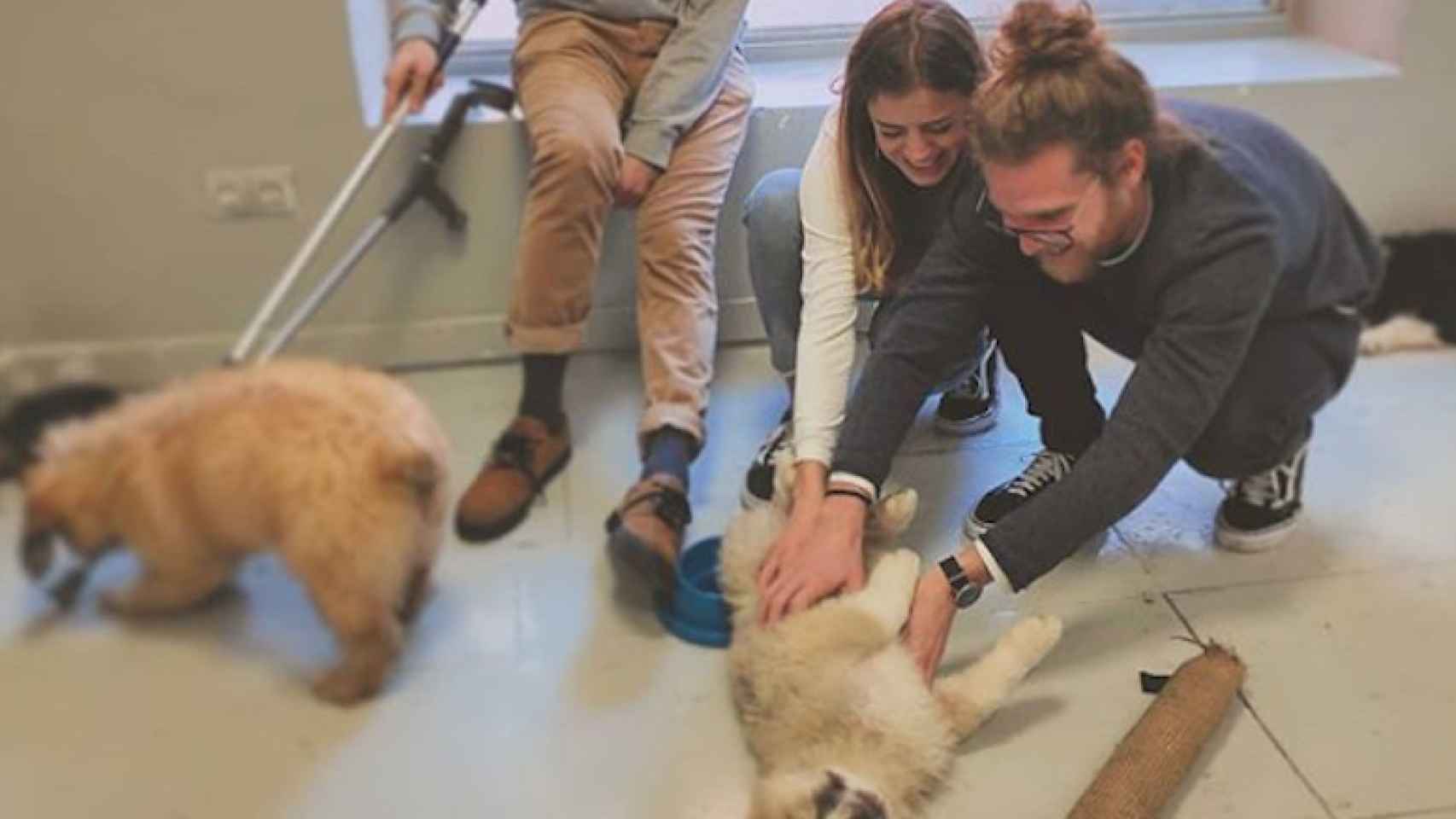 The Doger Cafe, la primera cafetería que permite adoptar perros de España / INSTAGRAM