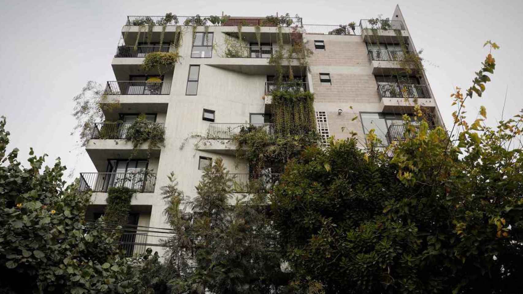 Un bloque de pisos con abundante vegetación / EFE