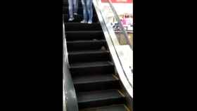 La rata en la escalera mecánica antes de atacar a dos clientes del centro comercial