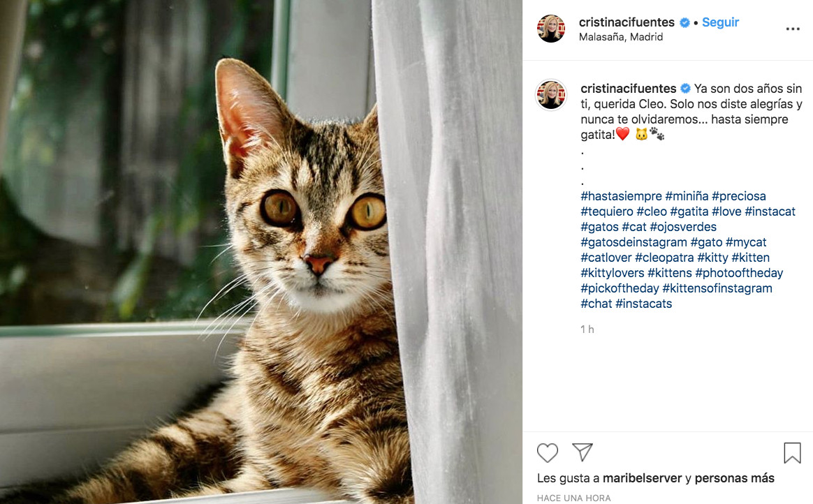 Cristina Cifuentes recuerda a su difunta gatita en sus redes sociales / INSTAGRAM